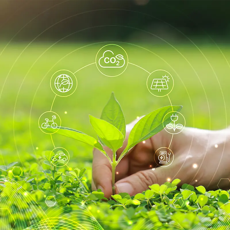 carbon management image