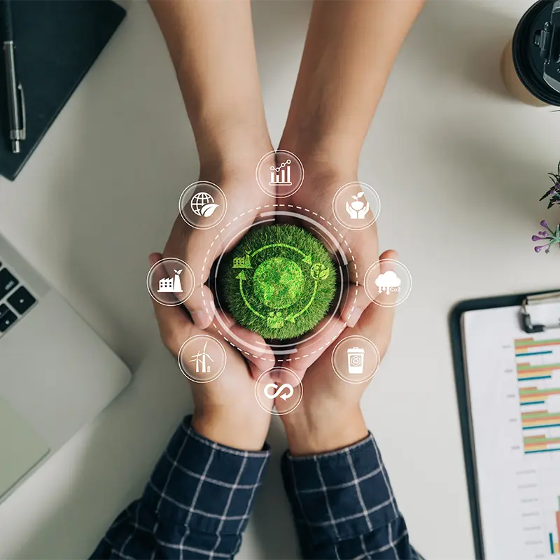 life cyccle assessment