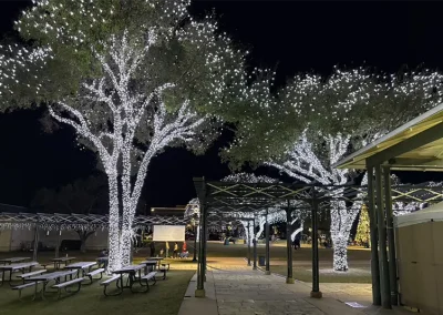 Fredericksburg