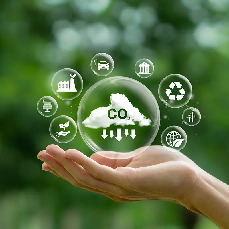 Low Carbon Steel Image