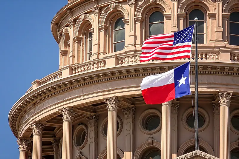 Texas USA Flag Image